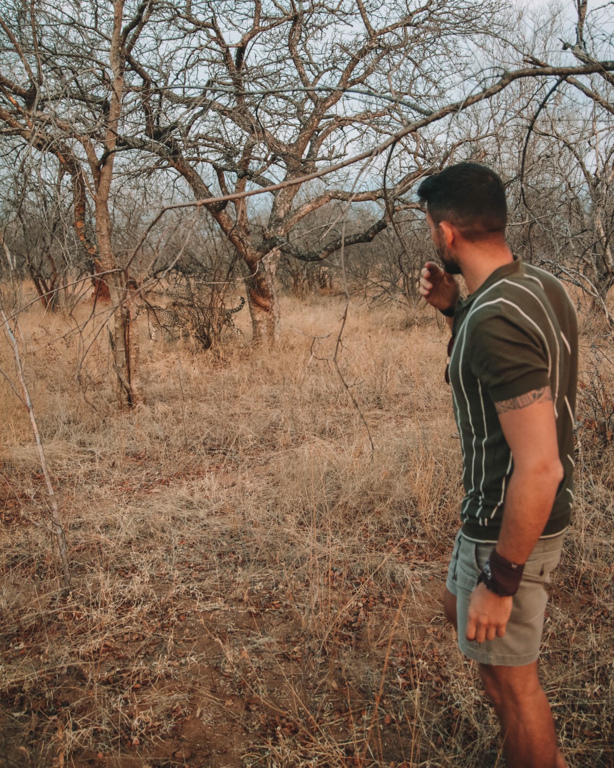 walking safari karongwe